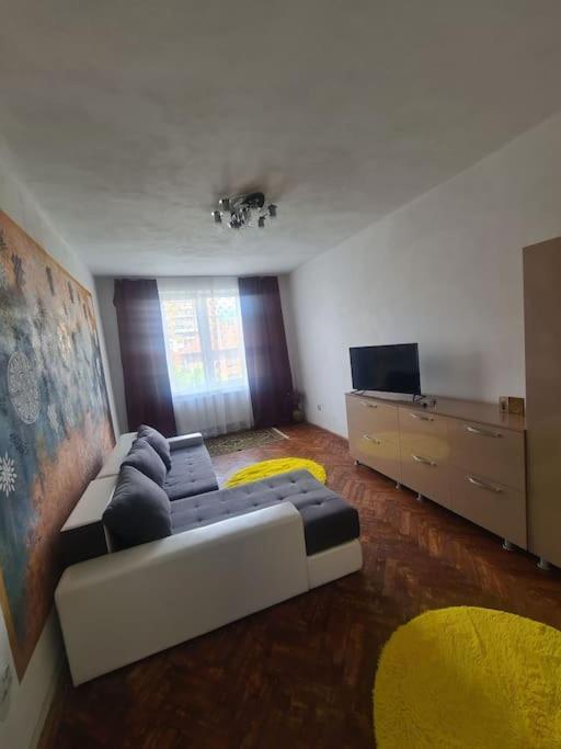 Mural Art Apartament Petroşani المظهر الخارجي الصورة