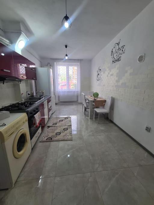 Mural Art Apartament Petroşani المظهر الخارجي الصورة