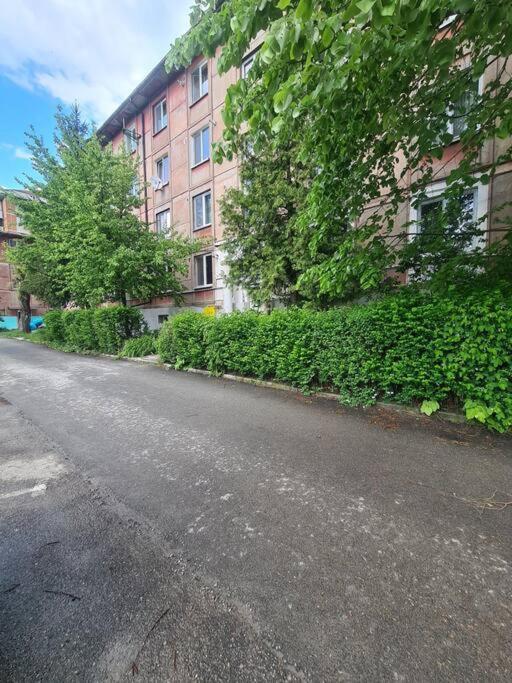 Mural Art Apartament Petroşani المظهر الخارجي الصورة