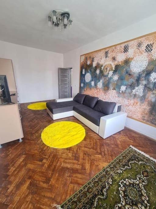 Mural Art Apartament Petroşani المظهر الخارجي الصورة