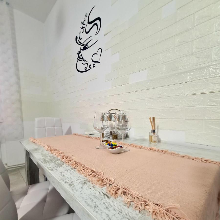 Mural Art Apartament Petroşani المظهر الخارجي الصورة