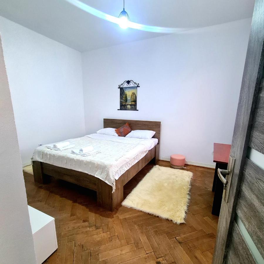 Mural Art Apartament Petroşani المظهر الخارجي الصورة