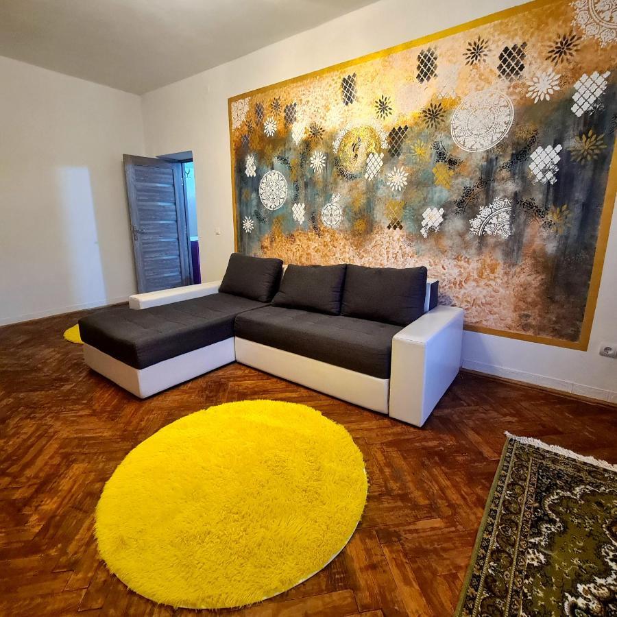Mural Art Apartament Petroşani المظهر الخارجي الصورة