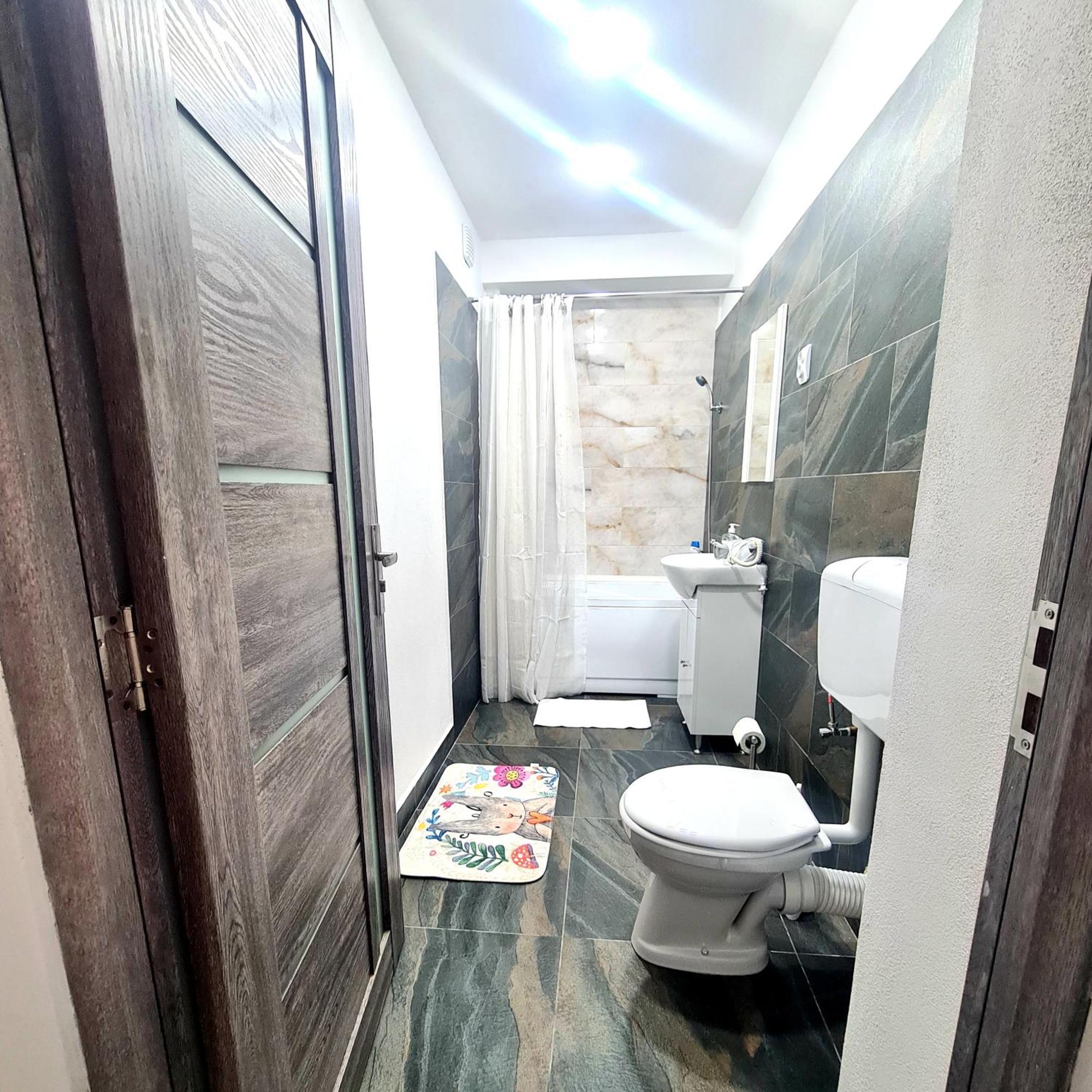 Mural Art Apartament Petroşani المظهر الخارجي الصورة